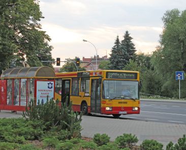 IMG_5995