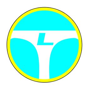 Przedsiębiorstwo Transportowe TRANSLUB Sp. z o.o.